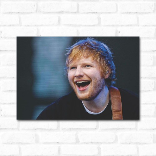 Adesivo de parede Placa Decorativa Ed Sheeran 2