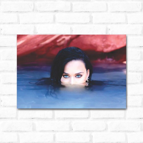 Adesivo de parede Placa Decorativa Katy Perry 1