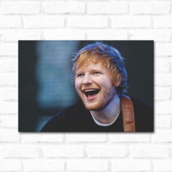 Placa Decorativa Ed Sheeran 2